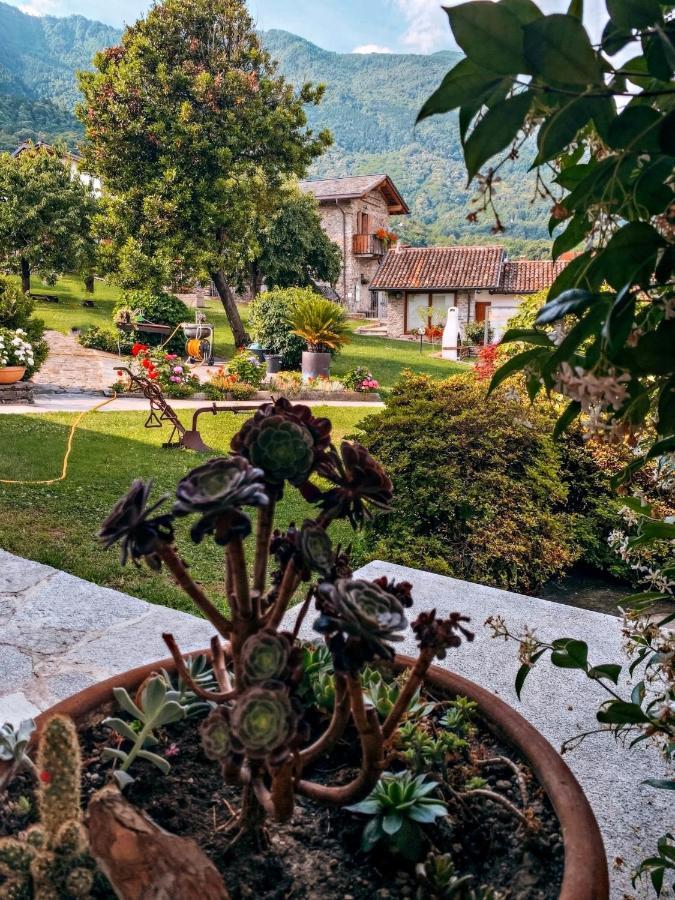 Il Fienile - Lake Como Heritage Home In Molino Maufet Watermill - Lake View Terrace Colico Dış mekan fotoğraf