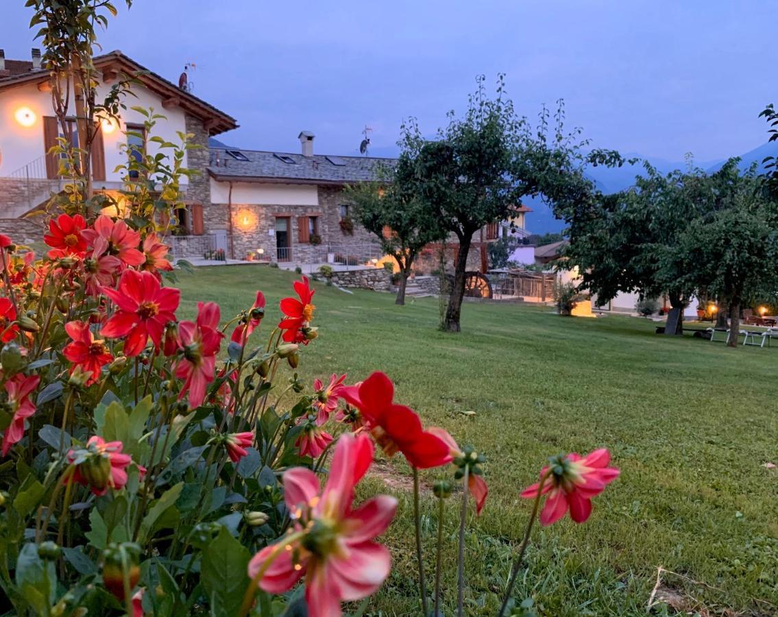 Il Fienile - Lake Como Heritage Home In Molino Maufet Watermill - Lake View Terrace Colico Dış mekan fotoğraf